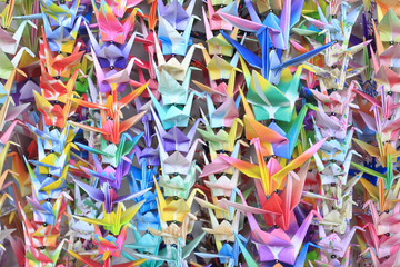 Colorful paper birds hanging together using fishing lines.