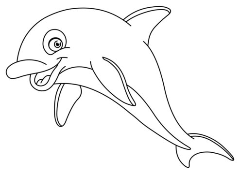 Outlined dolphin