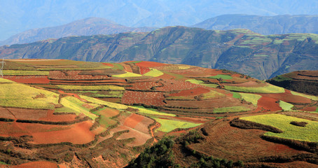 fertile field in west of china