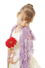 Shy little girl in dress holding red flower