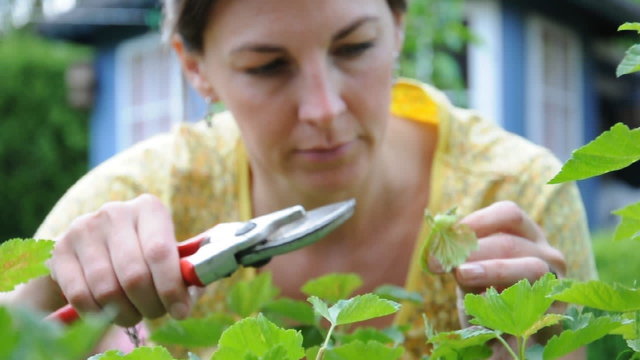 Junge Frau bei Gartenarbeit