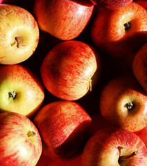 äpfel