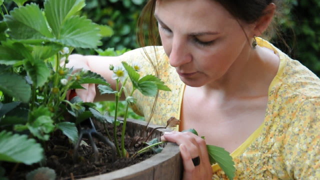 Junge Frau bei Gartenarbeit