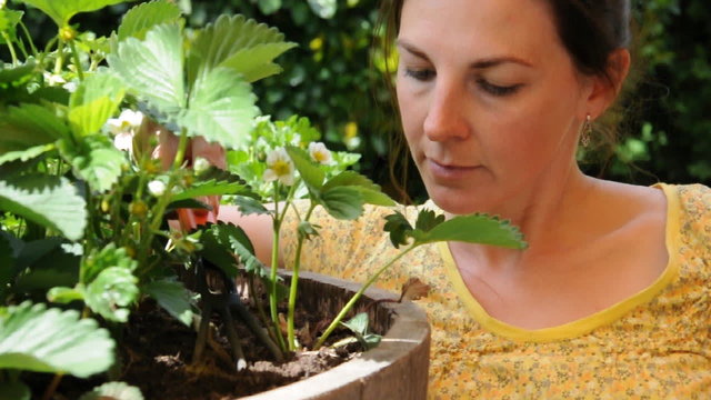 Junge Frau bei Gartenarbeit