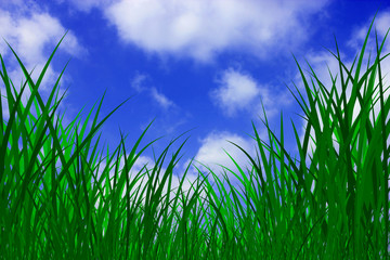 Obraz premium blauer himmel und grüne wiese