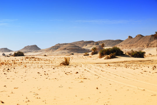 Sahara desert, Western desert, Egypt