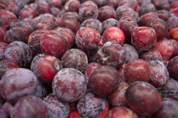 Fruit plums bunched together