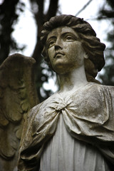 Fototapeta premium Angel statue in a graveyard at Highgate Cemetery, London