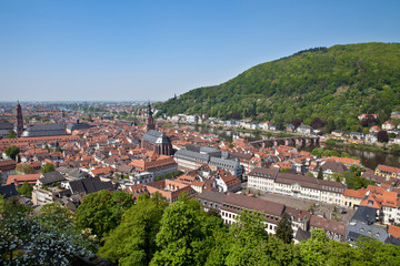 Fototapeta na wymiar Heidelberg Panoramablick