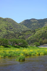 田舎の風景