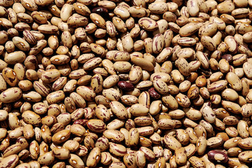 Beans