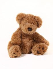 Brown teddy bear on white background