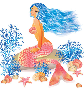 Beautiful mermaid, vector illustration