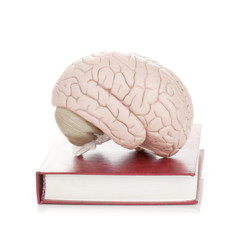 Human brain on book with leather cover (education, medical, neur