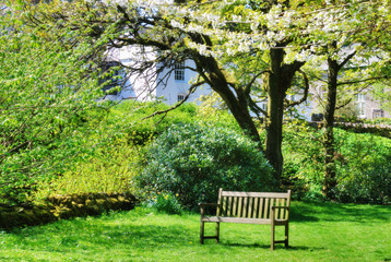 Bench in an English contry garden