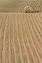 Fototapeta premium tarım