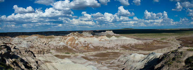 Panorama of Petrified Forest National Park