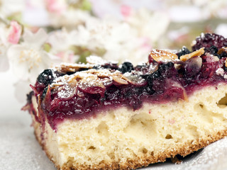Wild berries cake