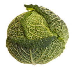 Fototapeta premium isolated cabbage