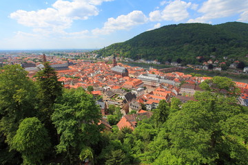 Fototapeta na wymiar Blick über Heidelberg