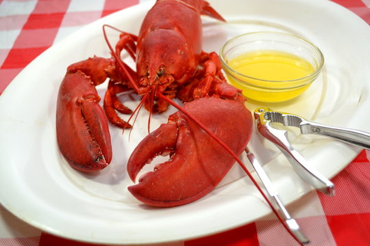 Delicious Whole Lobster