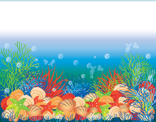 Fototapeta na wymiar Underwater banner, vector illustration
