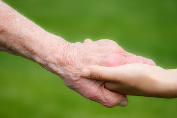 Fototapeta premium Senior and Young Women Holding Hands