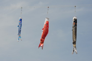 Koinobori-4