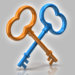 Blue and orange keys