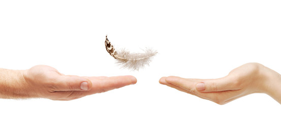 man's hand gives the feather female hand