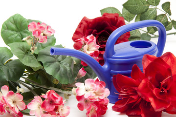 Blumen mit Gießkanne