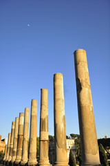 Roman Forum - Ruins of ancient Rome