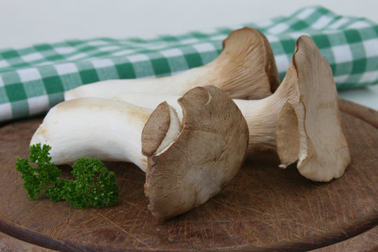 Kr&auml;utersaitlinge