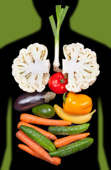 human internal organs lined with vegetables