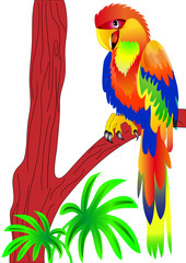 perroquet assis sur un arbre