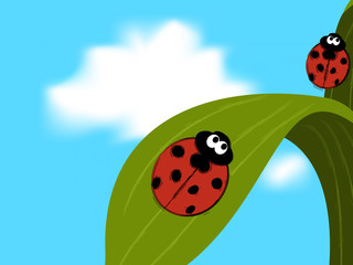 Naklejka premium Ladybird couple