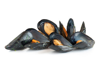 cooked mussels - cozze bollite