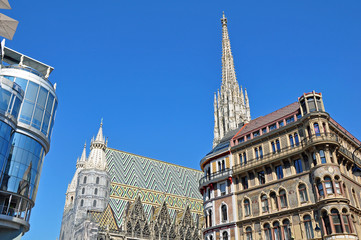 Fototapeta premium stephansdom wien