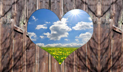 Herz Bretterwand Blumenwiese