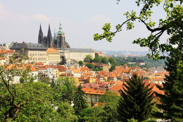 Obraz premium View on the spring Prague gothic Castle with the green Nature