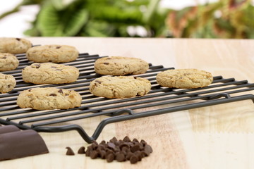 chocolate chip cookies