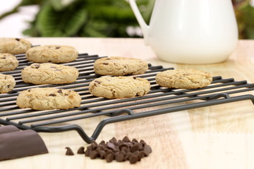 chocolate chip cookies