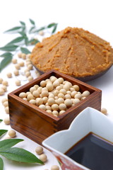 soy beans and japanese typical soybean processed food
