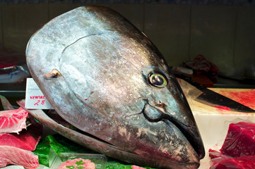 Thunfischkopf auf dem Markt Mercat de Sant Josep de la Boqueria in Barcelona	