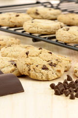 chocolate chip cookies