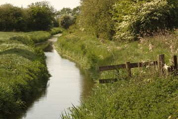 Small English river in the countryside
