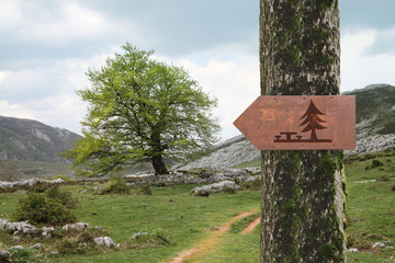 Pique-Nique champêtre