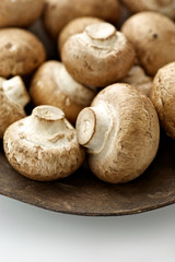 brown mushroom