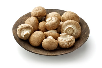 Fototapeta na wymiar brown mushroom
