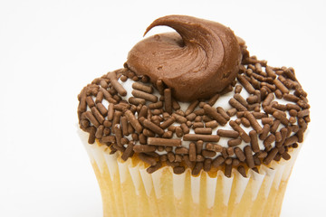 Yellow Cupcake with Chocolate Icing
